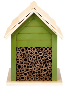 Bijenhuisje Lichtgroen Kopen?