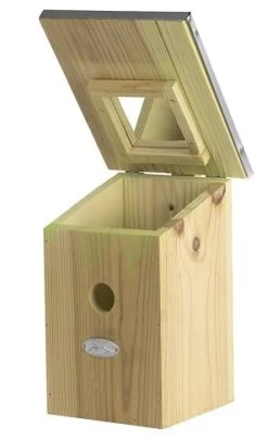 Nestkastje Met Spiegel Voor Observatie