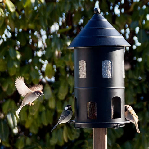 Gigantmatare Voederhuis Wildlife Garden Zwart - Afbeelding 2