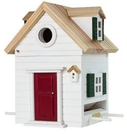 Vogelhuisje Wildlife Garden Engeland Look