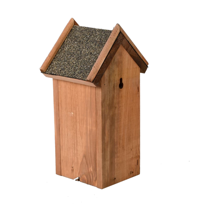 Nestkastje Pimpelmees Kopen? - Afbeelding 2