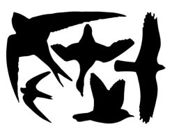 Vogelstickers Raamstickers